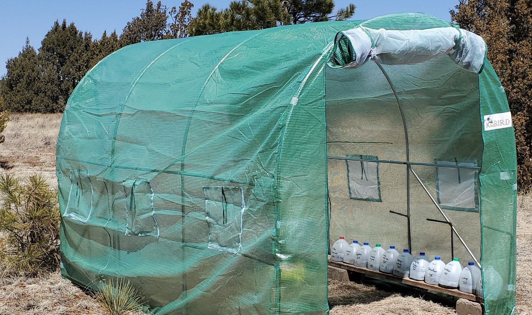 Greenhouse at Summit Leon