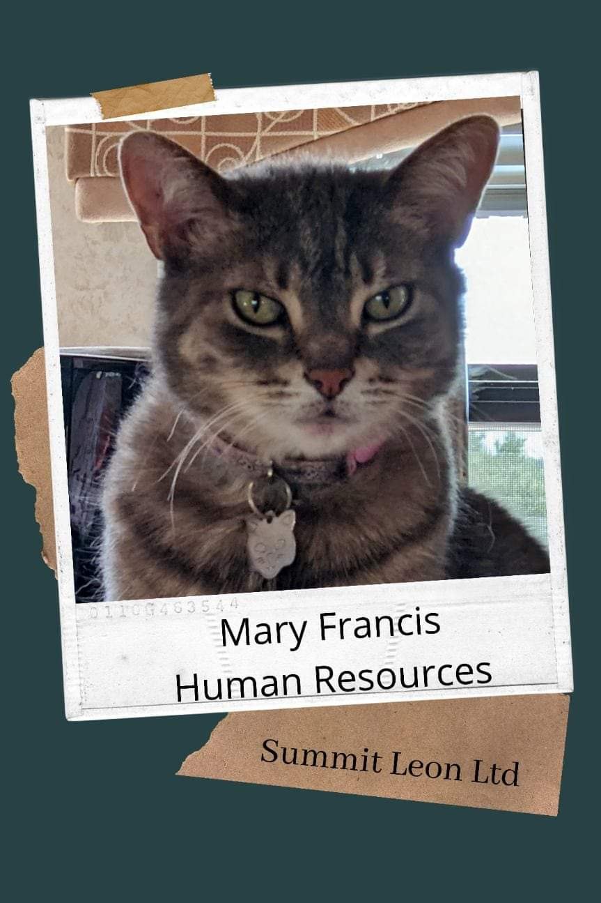 Mary Francis Human Resources cat badge