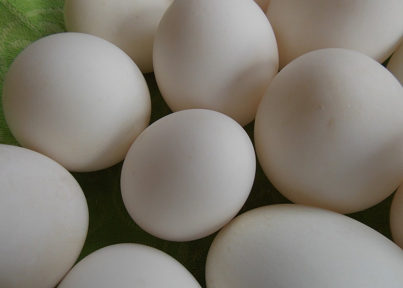 Duck Eggs